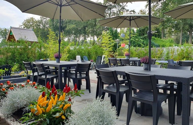 Gezellig terras bij Vakantiehuis in Voorthuizen Veluwe met uitzicht op groene omgeving.