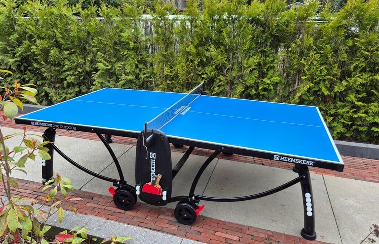 Tafeltennistafel in de tuin van Vakantiehuis in Voorthuizen Veluwe voor sportieve gasten.