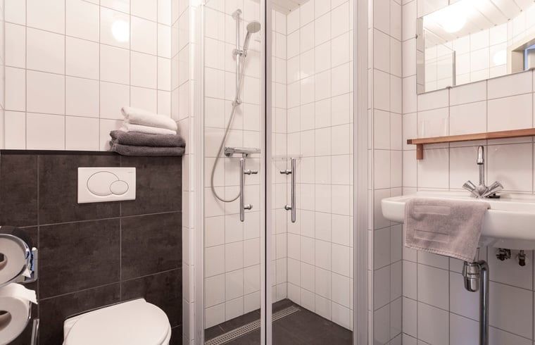 Moderne badkamer met douche in Vakantiehuis in Voorthuizen Veluwe.