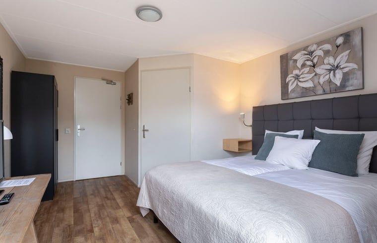 Moderne slaapkamer met kunst en grote ramen in Vakantiehuis in Voorthuizen Veluwe.