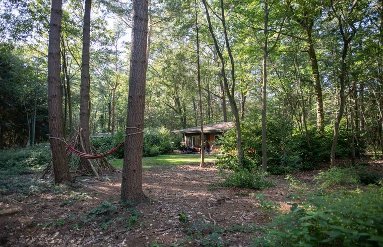 Unterkunft 322228 - Ferienhaus Veluwe - Vakantiehuis in Voorthuizen