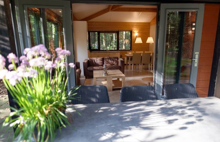 Unterkunft 322228 - Ferienhaus Veluwe - Vakantiehuis in Voorthuizen