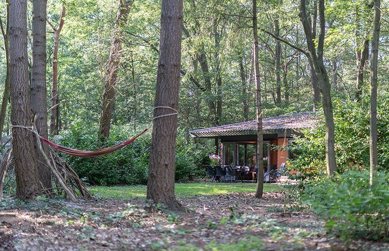 Unterkunft 322228 - Ferienhaus Veluwe - Vakantiehuis in Voorthuizen