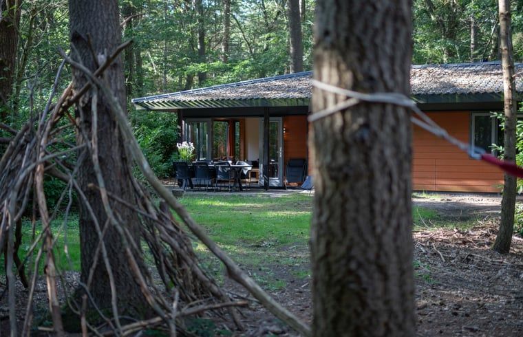 Unterkunft 322228 - Ferienhaus Veluwe - Vakantiehuis in Voorthuizen