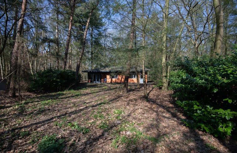 Das Ferienhaus in Voorthuizen, umgeben von den Waeldern der Veluwe, bietet einen ruhigen Rueckzugsort in Gelderland.