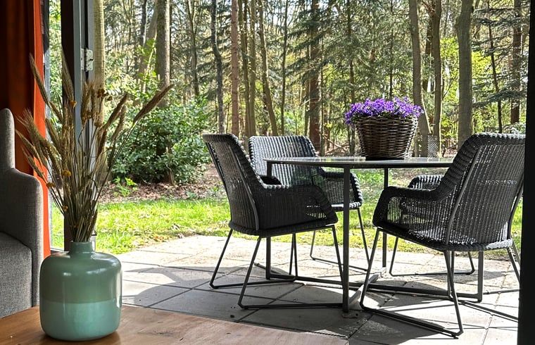 Gemuetliche Terrasse im Ferienhaus in Voorthuizen, ideal zum Entspannen in der Natur der Veluwe.