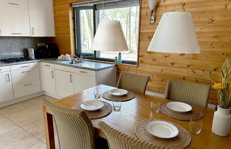 Moderne Kueche im Ferienhaus in Voorthuizen, ideal zum Kochen waehrend Ihres Aufenthalts in der Veluwe.
