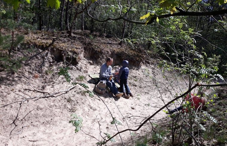 Familie geniesst ein Picknick in der Natur im Ferienhaus in Voorthuizen, Veluwe, Gelderland.