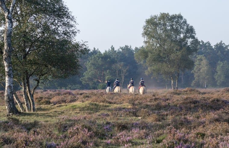 Unterkunft 322230 - Ferienhaus Veluwe - Vakantiehuisje in Voorthuizen