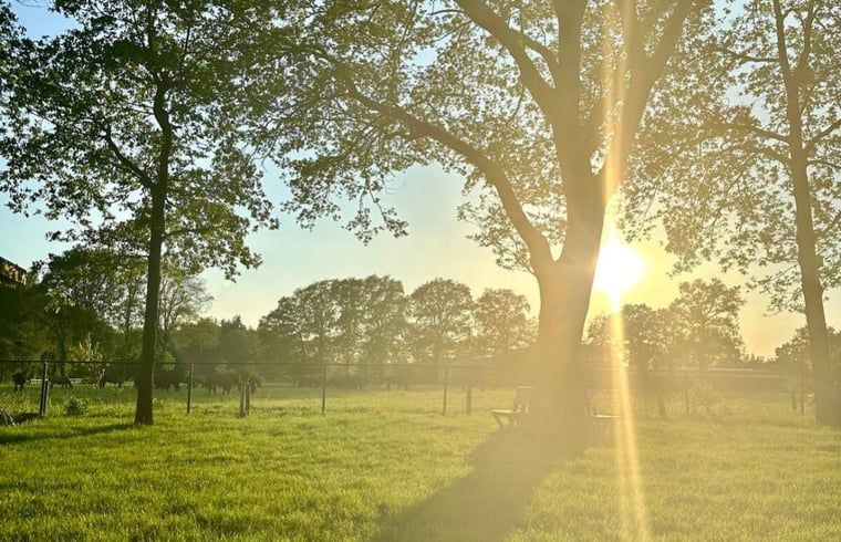 Unterkunft 322246 - Ferienhaus Veluwe - Vakantiehuisje in Voorthuizen (Gemeente Nijkerk)