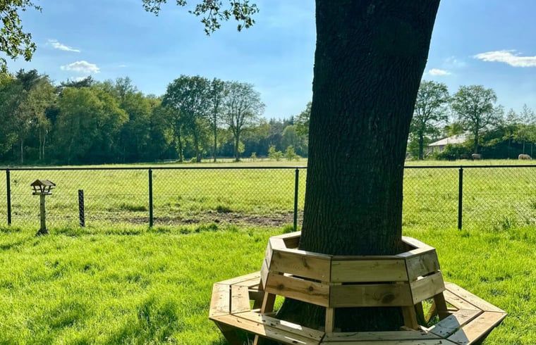 Unterkunft 322246 - Ferienhaus Veluwe - Vakantiehuisje in Voorthuizen (Gemeente Nijkerk)