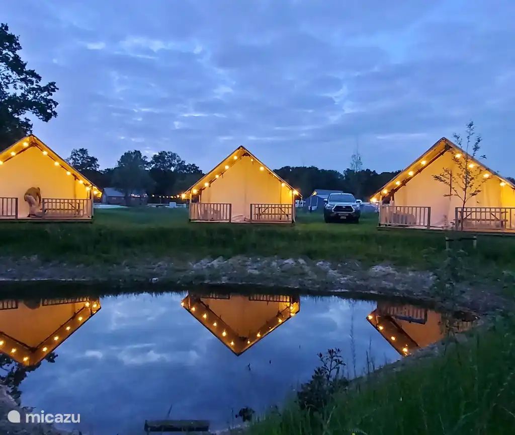 Verblijf 322292 - Vakantiewoning Veluwe - Safaritent