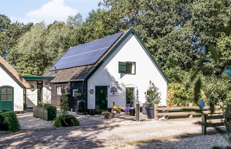 Ferienhaus in Vaassen in der Veluwe, Gelderland, mit sonniger Terrasse und gruener Umgebung.