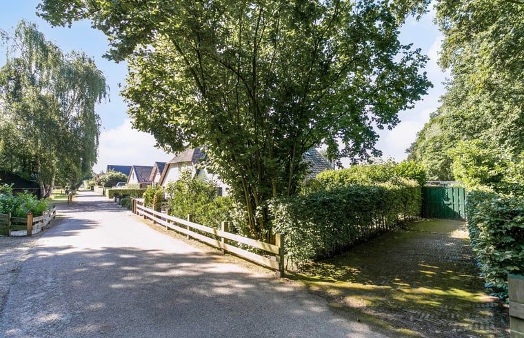 Ruhige Strasse mit Baeumen in der Naehe des Ferienhauses in Vaassen, Veluwe, ideal fuer Spaziergaenge.