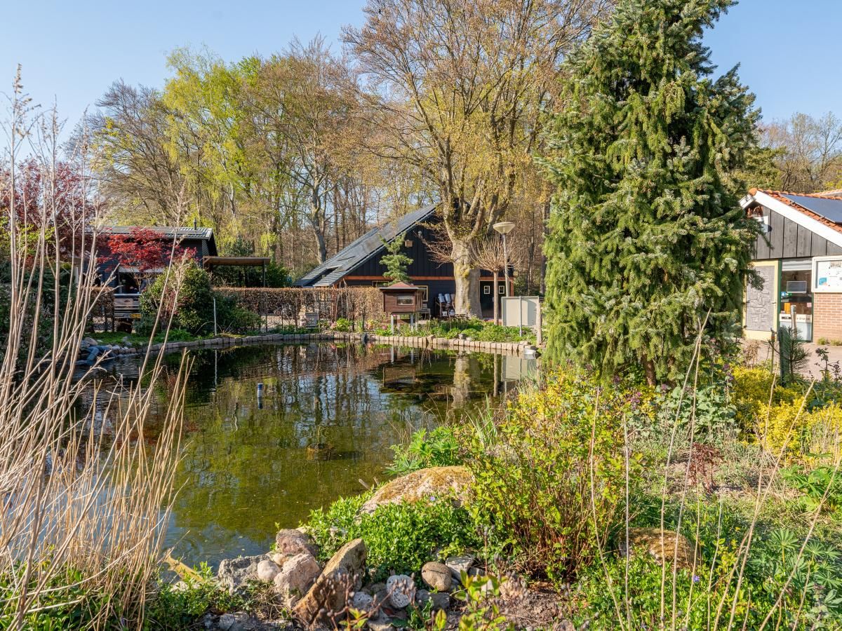 Guest house 3224126 - Holiday property Veluwe - Tiny Zwarte Mees
