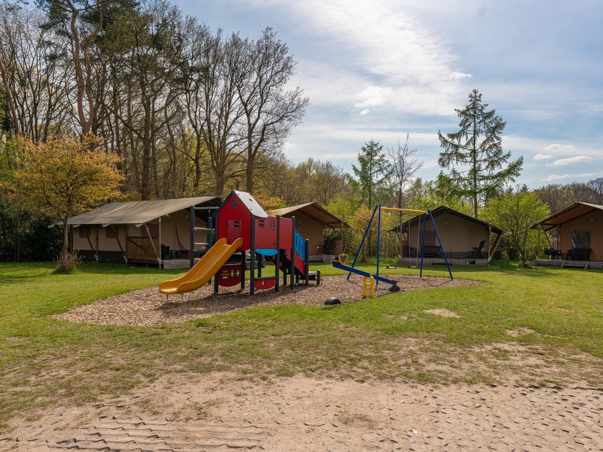 Guest house 3224126 - Holiday property Veluwe - Tiny Zwarte Mees
