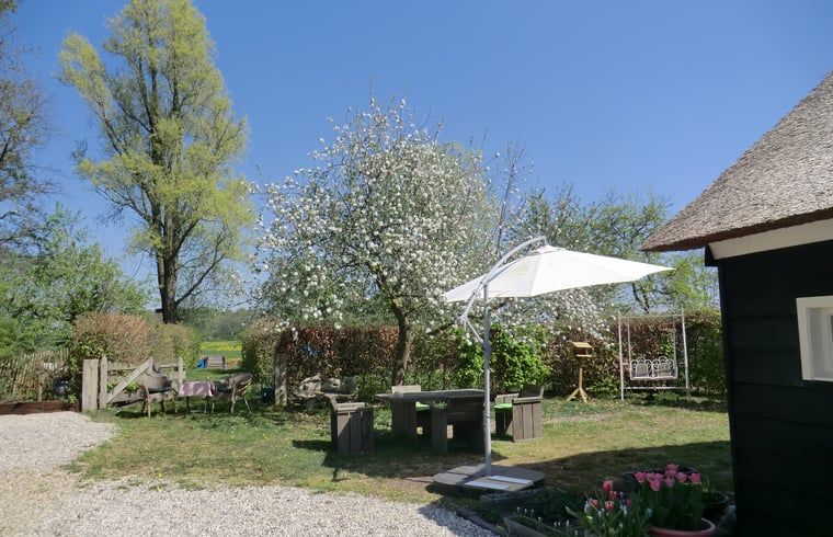 Zonnig terras bij vakantiehuis in Hulshorst, ideaal voor ontspanning, Veluwe, Gelderland.