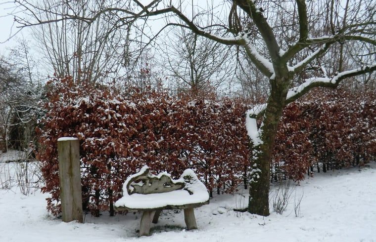 Winterse charme bij vakantiehuis in Hulshorst met besneeuwde tuin, Veluwe, Gelderland.