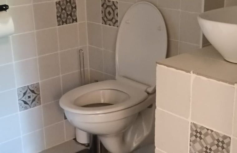 Comfortabele badkamer in vakantiehuis in Hulshorst met toilet en wastafel, Veluwe, Gelderland.