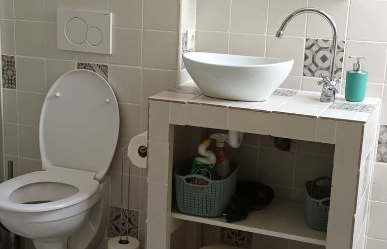 Stijlvolle badkamer in vakantiehuis in Hulshorst met wastafel en toilet, Veluwe, Gelderland.