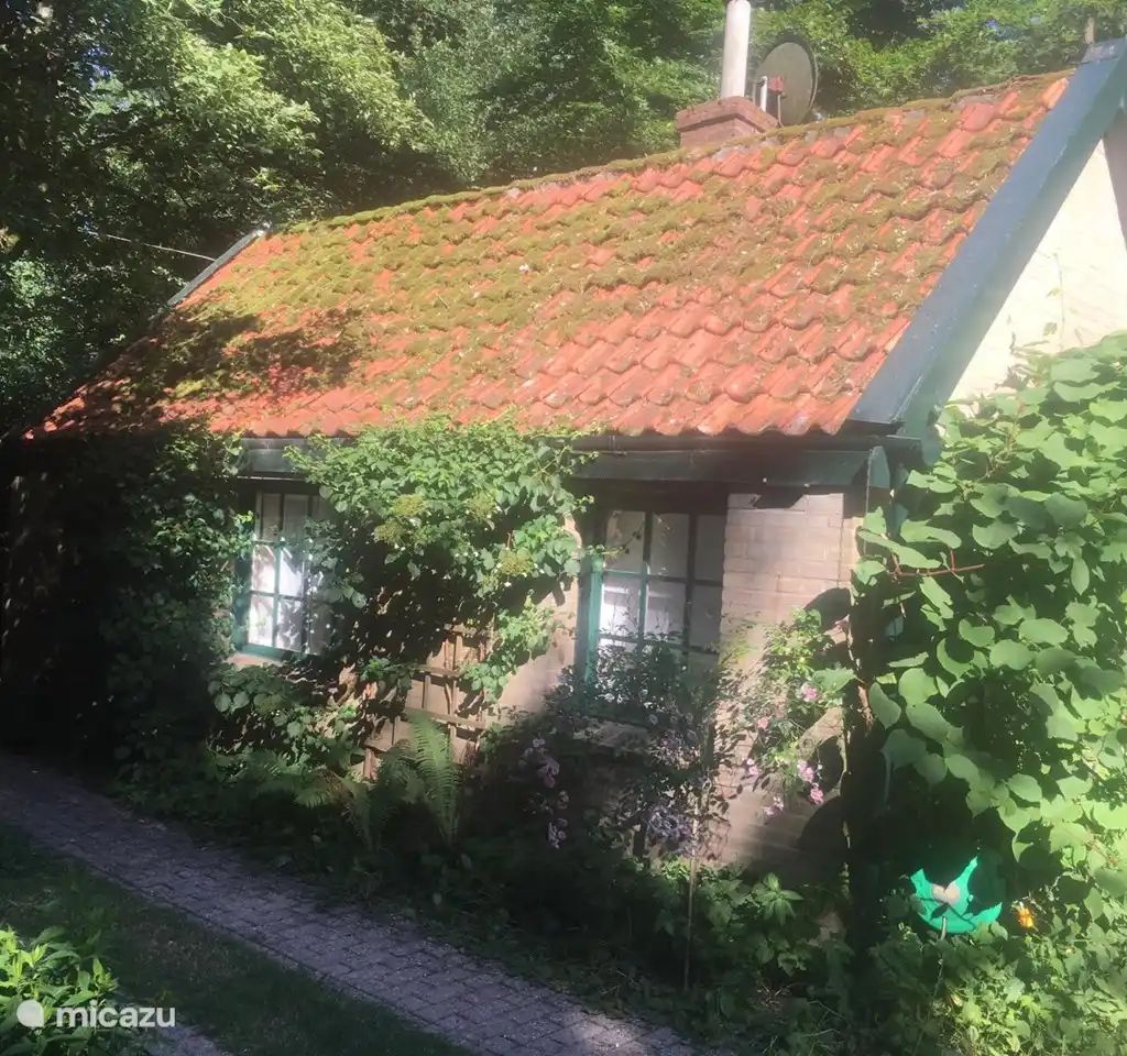 Verblijf 322488 - Vakantiewoning Veluwe - Onder de Bos