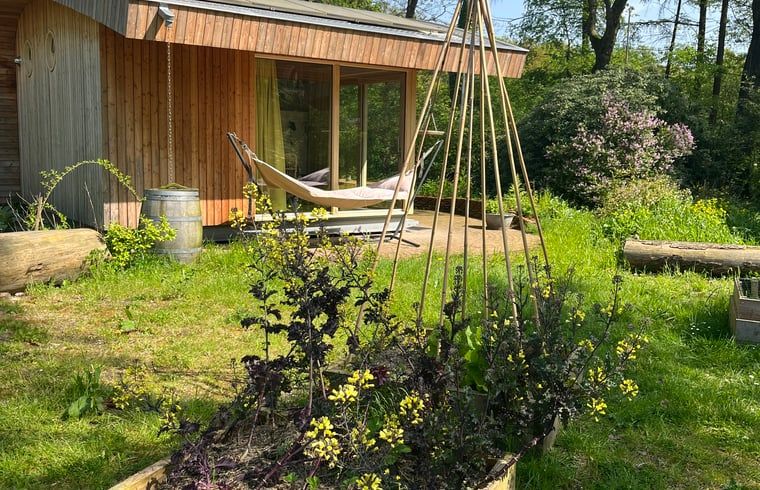 Nature views and wooden cottages from Huisje in Otterlo, located in Otterlo, Veluwe, Gelderland.
