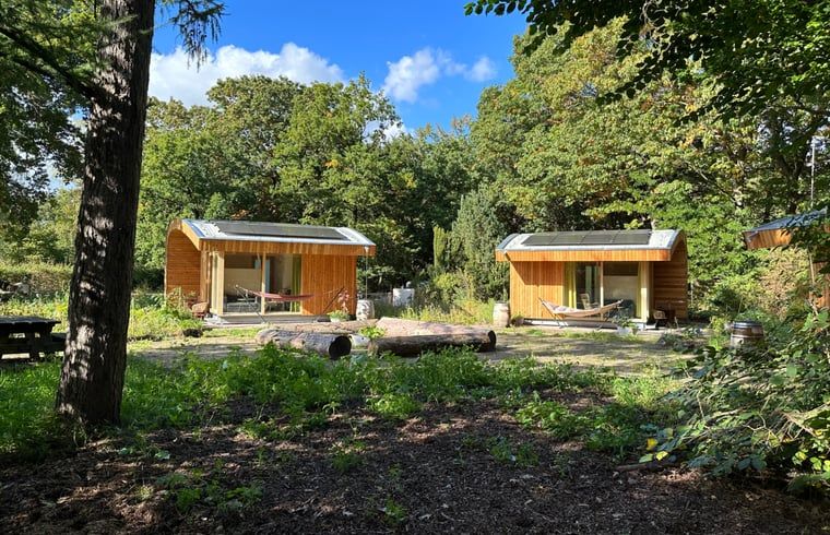Fresh bouquet of flowers in the living room of Huisje in Otterlo, a vacation home in Otterlo, Veluwe, Gelderland.