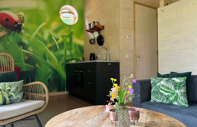 Modern kitchen and sitting area in Cottage in Otterlo, a vacation accommodation in Otterlo, Veluwe, Gelderland.