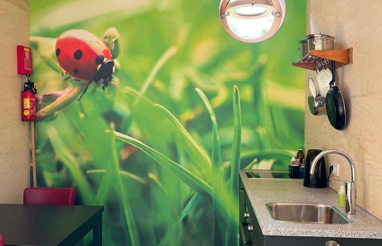 Guest house 3225103 - Holiday property Veluwe - Huisje in Otterlo