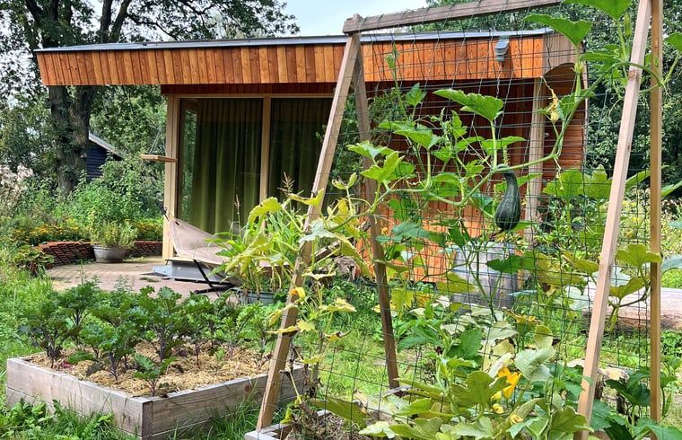 Guest house 3225103 - Holiday property Veluwe - Huisje in Otterlo