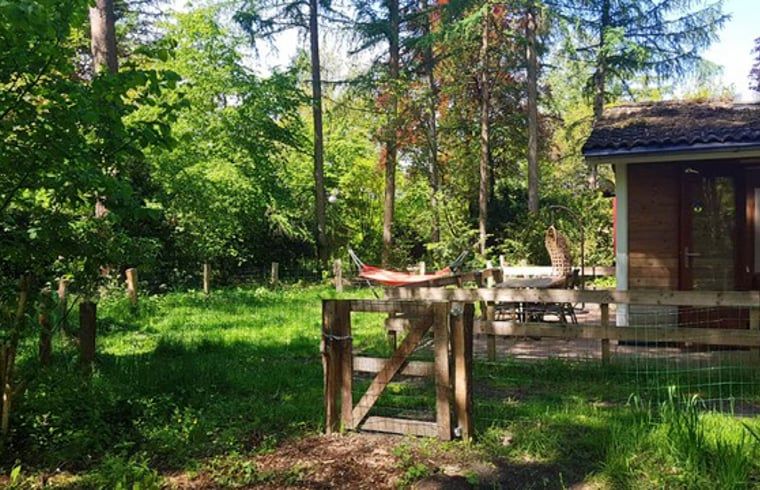 Geraeumige Sitzecke in Cottage in Otterlo, Ferienunterkunft in Veluwe, Gelderland mit grossen Fenstern und viel Licht.