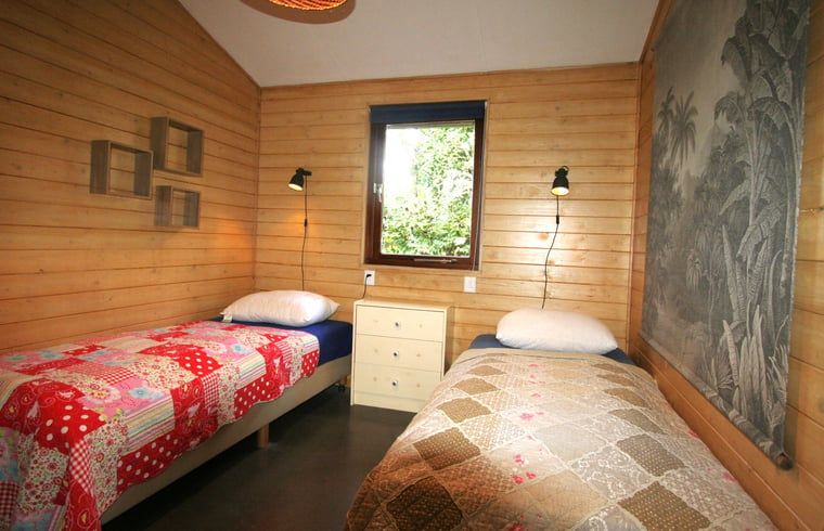 Gruenes Gewaechshaus im Cottage in Otterlo, Ferienunterkunft in der Veluwe, Gelderland, umgeben von Sonnenblumen und Kraeutern.