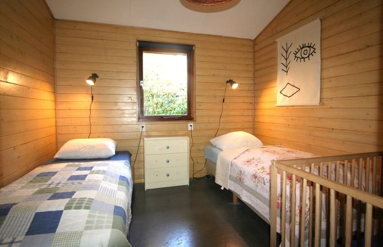 Kinder spielen mit Schweinen im Cottage in Otterlo, Ferienunterkunft in Veluwe, Gelderland, ideal fuer Familien.