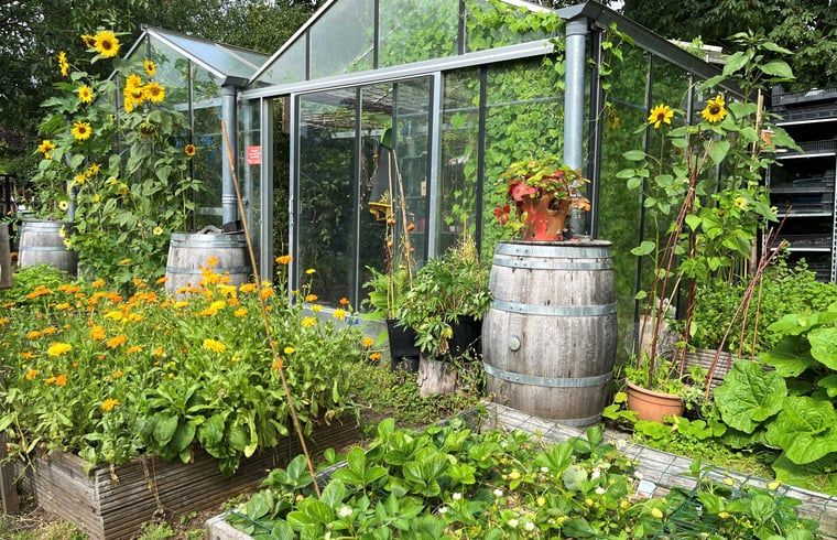 Stilvolle Essecke in Cottage in Otterlo, Ferienhaus in Veluwe, Gelderland mit Holztisch und modernen Moebeln.
