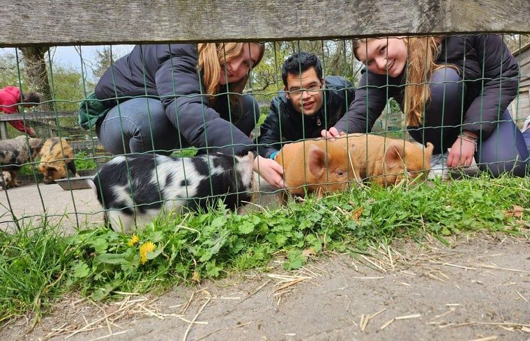 Modernes Badezimmer in einem Ferienhaus in Otterlo, Veluwe, Gelderland, mit schlichten weissen Fliesen und Waschbecken.