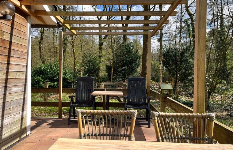 Besucher mit Pferd im Cottage in Otterlo, Ferienunterkunft an der Veluwe, Gelderland, ideal fuer Tierliebhaber.