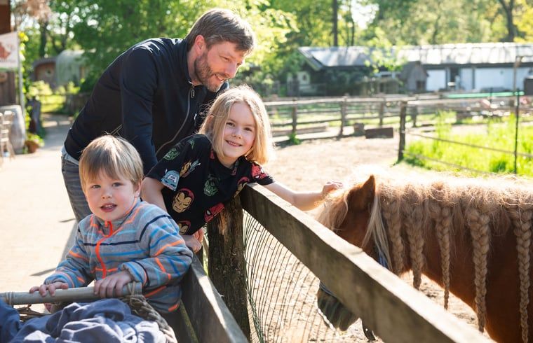 Kinder fuettern Huehner in Cottage in Otterlo, Ferienhaus in der Veluwe, Gelderland, eine lustige Aktivitaet fuer Familien.