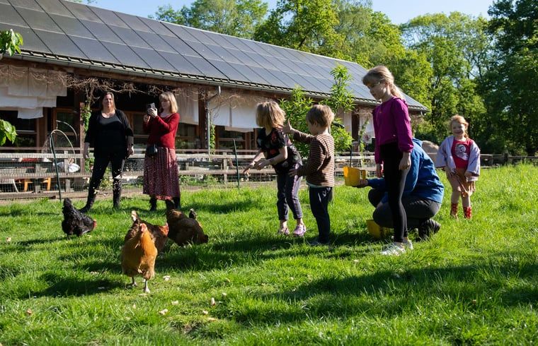 Kind streichelt Pferd in Cottage in Otterlo, Ferienhaus in Veluwe, Gelderland, perfekter Ort fuer Tierliebhaber.