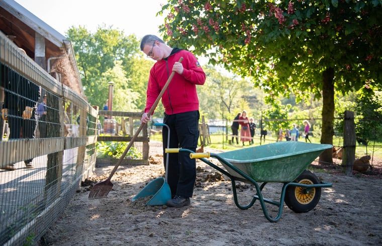 Reiten im Cottage in Otterlo, Ferienunterkunft in der Veluwe, Gelderland, ideal fuer Abenteuerurlaub.