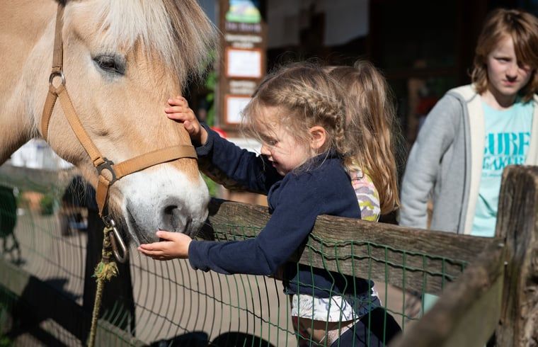 Junge Person hilft bei der Waesche im Huisje in Otterlo, einem Ferienhaus in der Veluwe, Gelderland, einem Ort fuer engagierte Aktivitaeten.