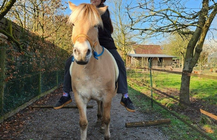Frischer Minztee auf der Terrasse des Huisje in Otterlo, einer Ferienunterkunft an der Veluwe, Gelderland mit entspannter Atmosphaere.