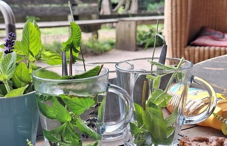 Vater liest Buch mit Kind in Cottage in Otterlo, Ferienunterkunft in Veluwe, Gelderland in ruhiger Umgebung.