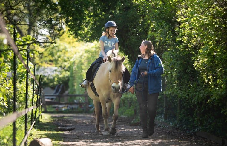 Spielplatz am Ferienhaus in Otterlo, Ferienhaus in der Veluwe, Gelderland mit Sandkasten und Spielgeraeten fuer Kinder.