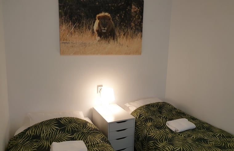 Slaapkamer met twee bedden in Vakantiehuis in Otterlo, Veluwe, perfect voor een rustgevende nachtrust.