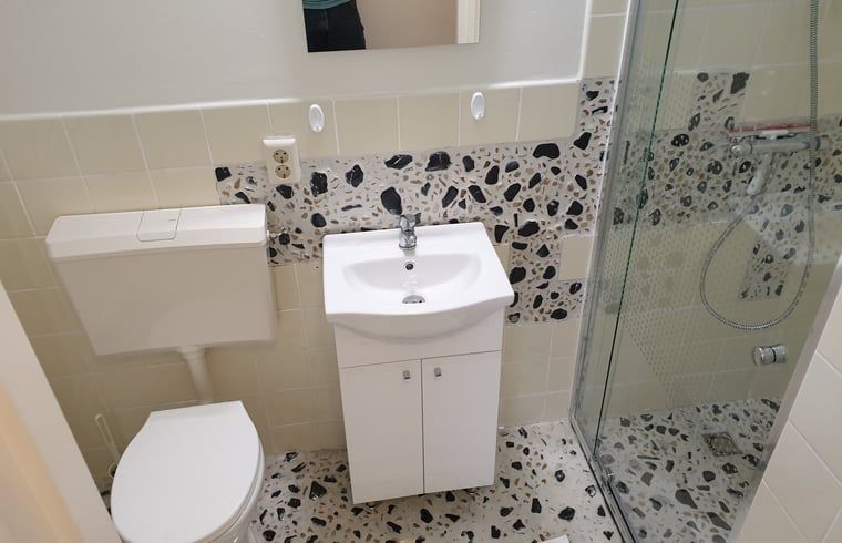 Moderne badkamer in Vakantiehuis in Otterlo, Veluwe, met douche en toilet voor ultiem gemak.