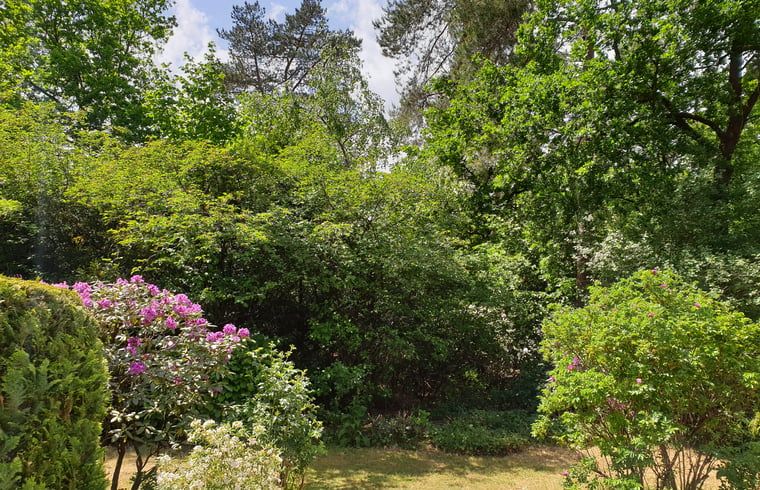 Weelderige tuin rondom Vakantiehuis in Otterlo, Veluwe, biedt rust en natuurlijke schoonheid.