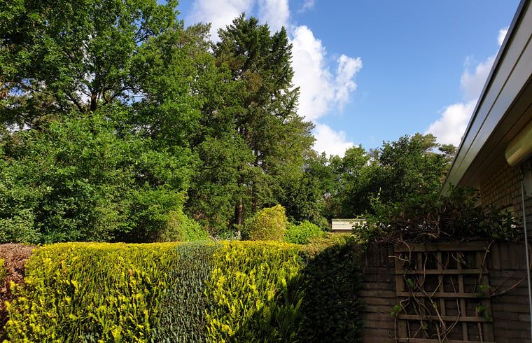 Groene omgeving van Vakantiehuis in Otterlo, Veluwe, met uitzicht op de prachtige natuur.