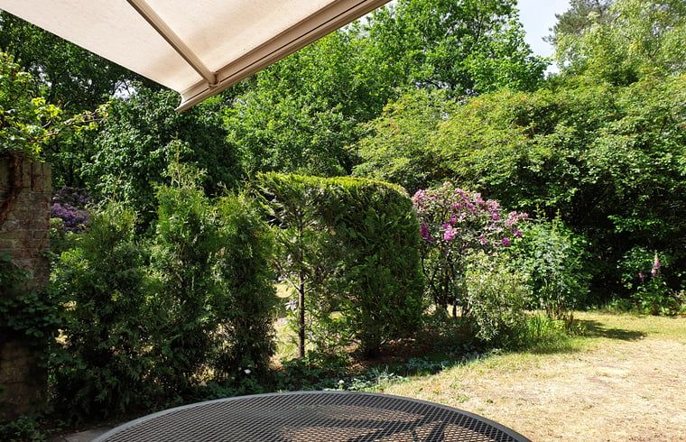 Terras van Vakantiehuis in Otterlo, Veluwe, met uitzicht op de bloeiende tuin en omringende natuur.