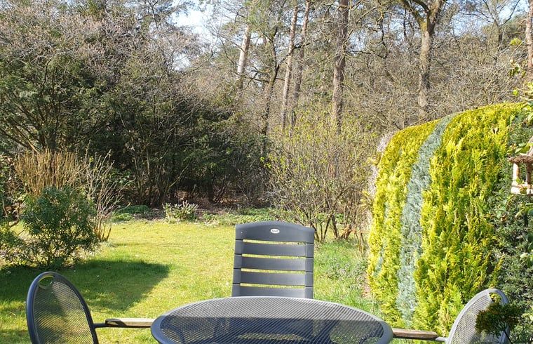 Zonnig terras bij Vakantiehuis in Otterlo, Veluwe, perfect voor buiten dineren en ontspanning.