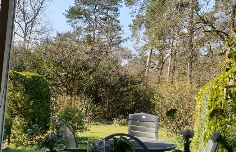 Schaduwrijke tuin bij Vakantiehuis in Otterlo, Veluwe, biedt een rustige plek om te genieten van de natuur.